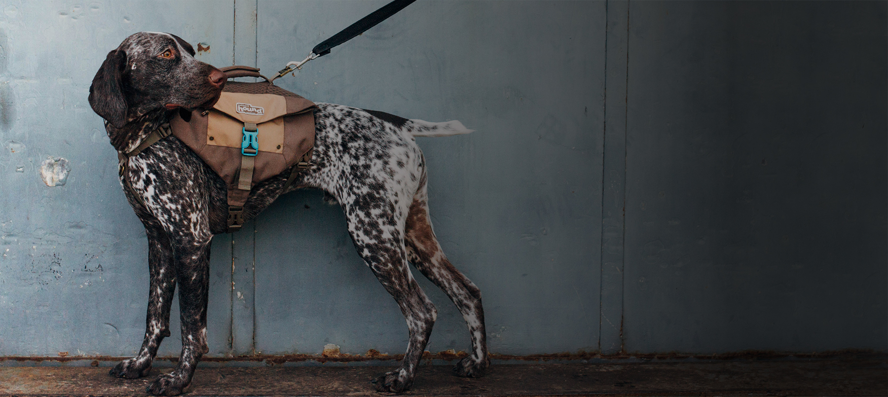 Description Background